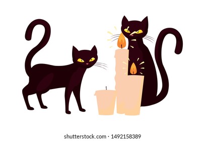 cats and candle happy halloween celebration