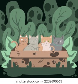 cats in a cardboard box on grass