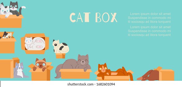 Cats in cardboard transportation boxes cartoon vector illustration. Cute kittens and cats looking out of box poster for domestic animals petshop.