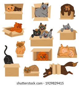 Cats in cardboard transportation boxes cartoon vector illustration. Set of badges with cats sitting in cardboard boxes.