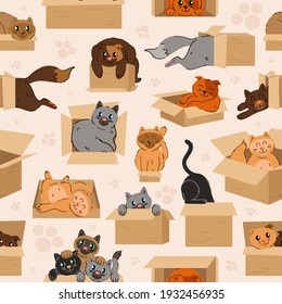 Cats in cardboard transportation boxes cartoon seamless pattern. Preposition of place illustration with cute cat and box.