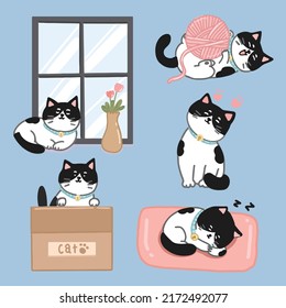 cats cartoon character vector set 