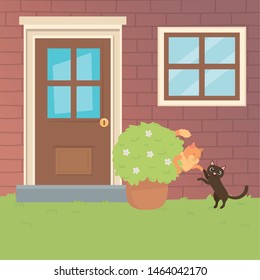 Cats cartoons design vector illustrator