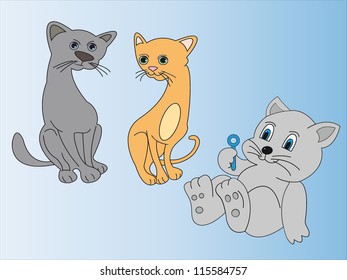 Cats and cat