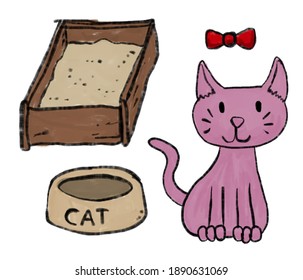 Cats and cat accessories in daily life