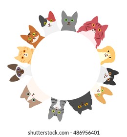 cats circle