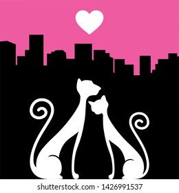 cats, city and pink sky with white heart