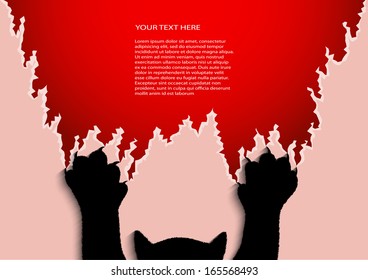 cat's claws breaking off a background