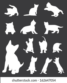 Cats collection 