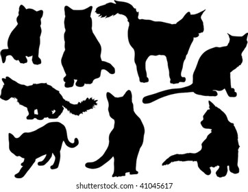 cats collection