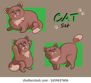 Cats collection.  Cats with different moods. Cat set