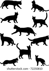 cats collection vector