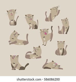Cats collection vector illustration of a flat style.