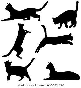 Cats collection - vector silhouette