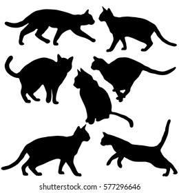 Cats collection - vector silhouette