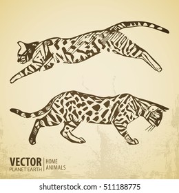 Cats collection - vector silhouette. Cats in various poses. Vintage style. Vector illustration.