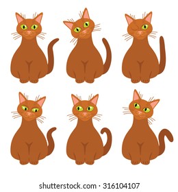 cats collecton