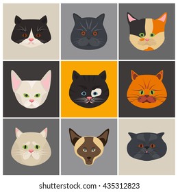 Cats color flat set icon