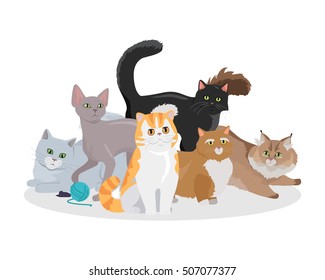 Cats conceptual web banner. Group of different breed cats seating, lying, standing, stretching, playing with ball of yarn flat vector illustration on white background. For pet shop landing page design