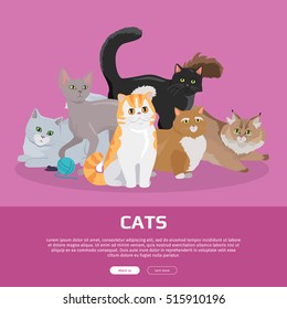 Cats conceptual web banner. Group of different breed cats seating, lying, standing, stretching, playing with ball of yarn flat vector illustration on pink background. For pet shop landing page design