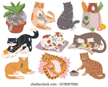 Cats. Cute fluffy kitty playing with yarn or toys, sleeping in bed, sitting in plant pot. Cartoon playful pet animal character vector set. Purebred kittens in different poses with fish, mouse