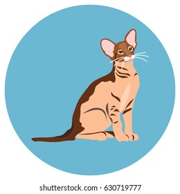 Cats of different breeds. Icons. Vector image in a flat style. Illustration on a round background. Element of design, interface