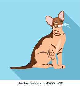 Cats of different breeds with long shadow. Picture style flat