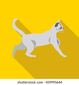 Cats of different breeds with long shadow. Picture style flat