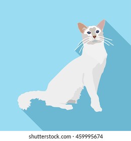 Cats of different breeds with long shadow. Picture style flat