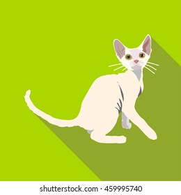 Cats of different breeds with long shadow. Picture style flat