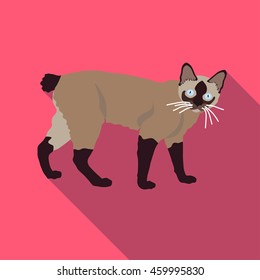 Cats of different breeds with long shadow. Picture style flat