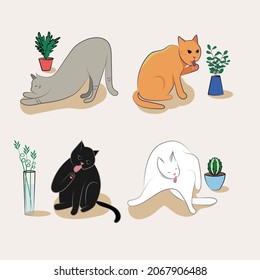 Cats in different poses. Pets. Four cats and flower pots.