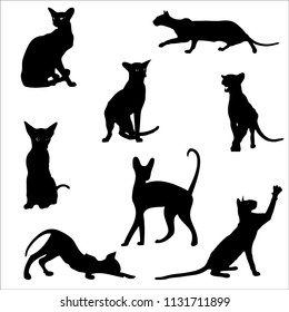 Cats in different poses, silhouettes. The cat lies, sits, stretches its back, hisses, plays, goes. Graceful animal. Use printed materials, signs, items, websites, maps, posters, postcards, 