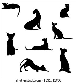 Cats in different poses, silhouettes. The cat lies, sits, stretches its back, hisses, plays, goes. Graceful animal. Use printed materials, signs, items, websites, maps, posters, postcards, 