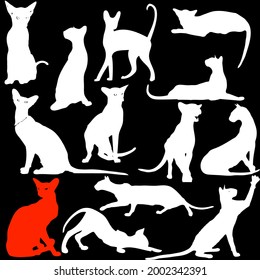 Cats in different poses, silhouettes. The cat lies, sits, stretches its back, hisses, plays, goes. Graceful animal. Use printed materials, signs, items, websites, maps, posters, postcards, 