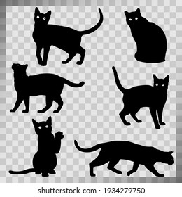 Gatos en diferentes poses, conjunto vectorial de siluetas negras sobre fondo blanco. EPS-10.