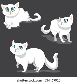 Cats in different poses.White cat on grey  background.