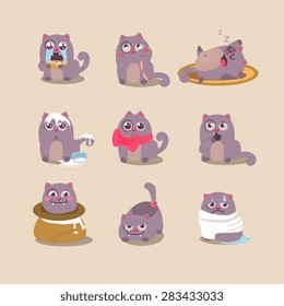 Cats in different situations , emotions, vector illustration