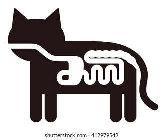 cat's digestive organ anatomy pictogram, vector illustration