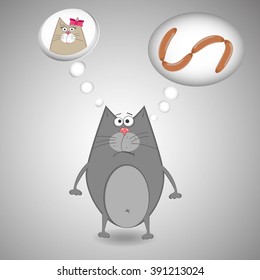 Cats dilemma.