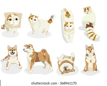 Cats and Dogs characters. Cartoon styled vector illustration. Shiba inu. tabby set of funny pets.