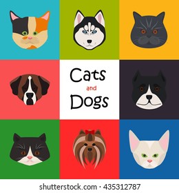 Cats and dogs color flat icon