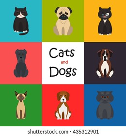 Cats and dogs color flat icon