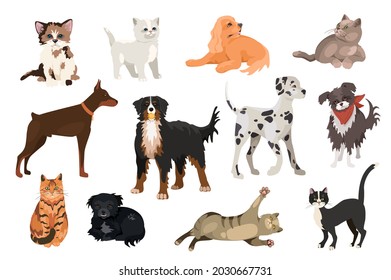 Elementos de diseño para gatos y perros. Colección de mascotas de diferentes razas, Doberman, Perro de Montaña, Dalmatiano, gatitos juguetones y cachorros. Ilustración vectorial objetos aislados en estilo de dibujos animados planos