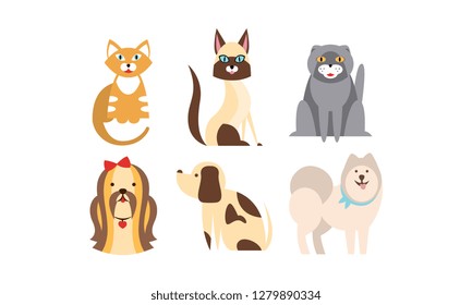 Cats and dogs of different breeds set, cute pets, domestic animals, best friends vector Illustration