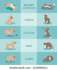 Cats and dogs emotion body language flat infographics with text captions and pets in different poses vector illustration