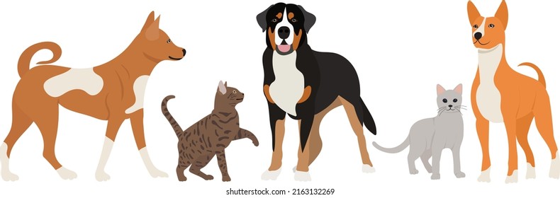 cats and dogs in flat design isolated, vector