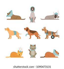 Cats and Dogs Get Sick, Injured, Hurt, Wounded, Vector Set