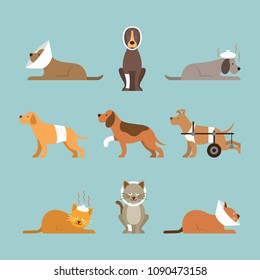 Cats and Dogs Get Sick, Injured, Hurt, Wounded, Vector Set