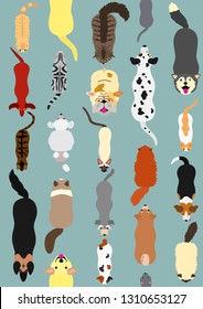 cats and dogs seamless design